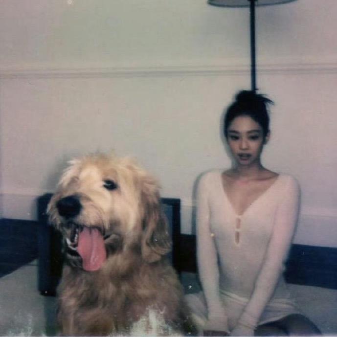 𝗝𝗮𝗻𝗳𝗳𝗿𝗲𝘆.