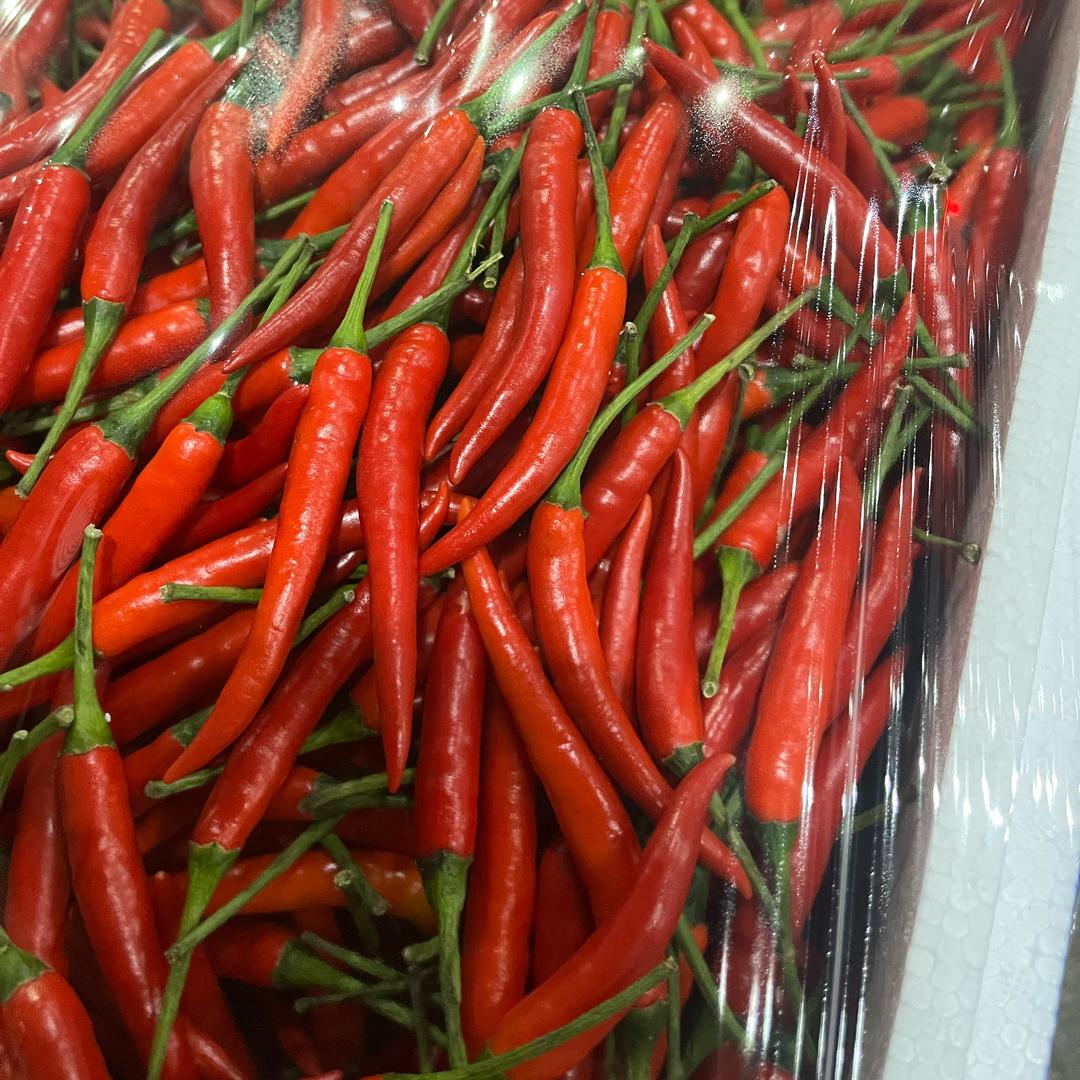 重庆双福小潘（辣椒代销）