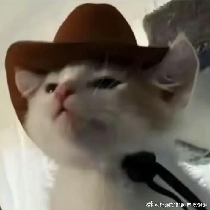 ·我有花不完的钱·