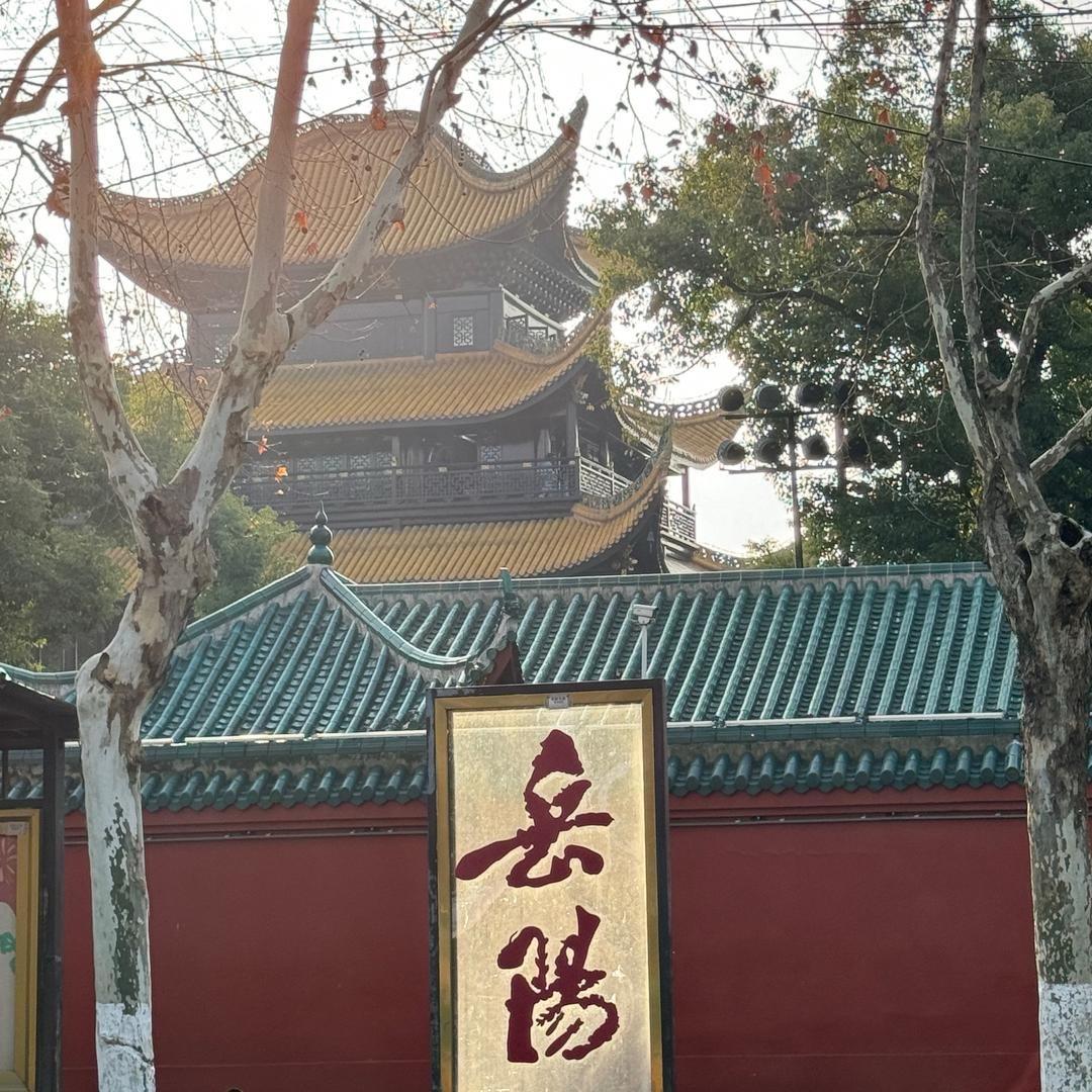 🀄️娟儿