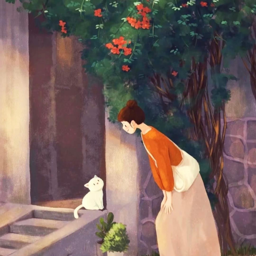 晴空🪴
