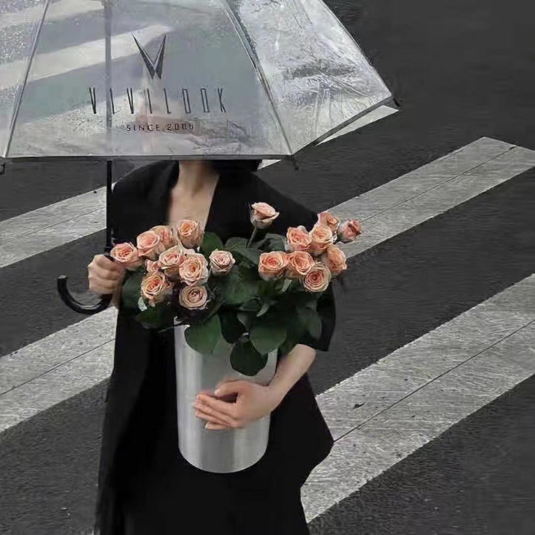 可惜我是水瓶座