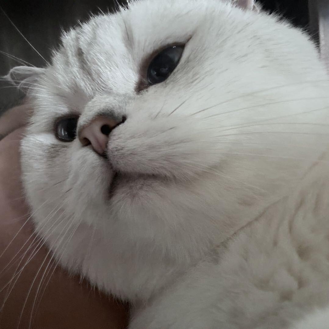 小坨