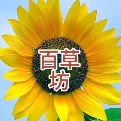百草坊