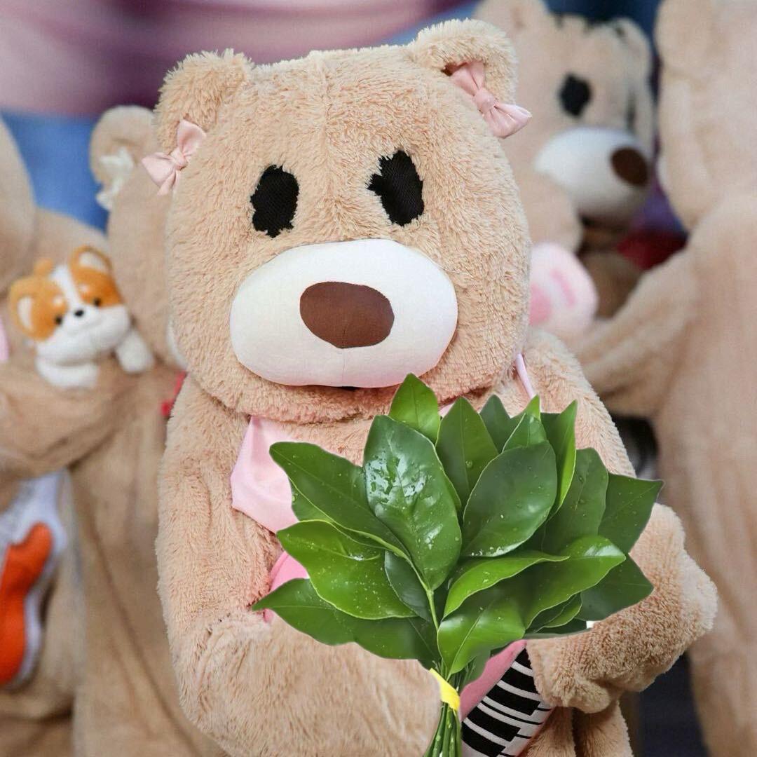 Ada（爸爸我不去看演唱会）