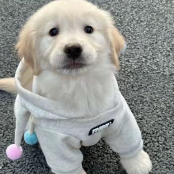 LiuXiaoYuan的留白