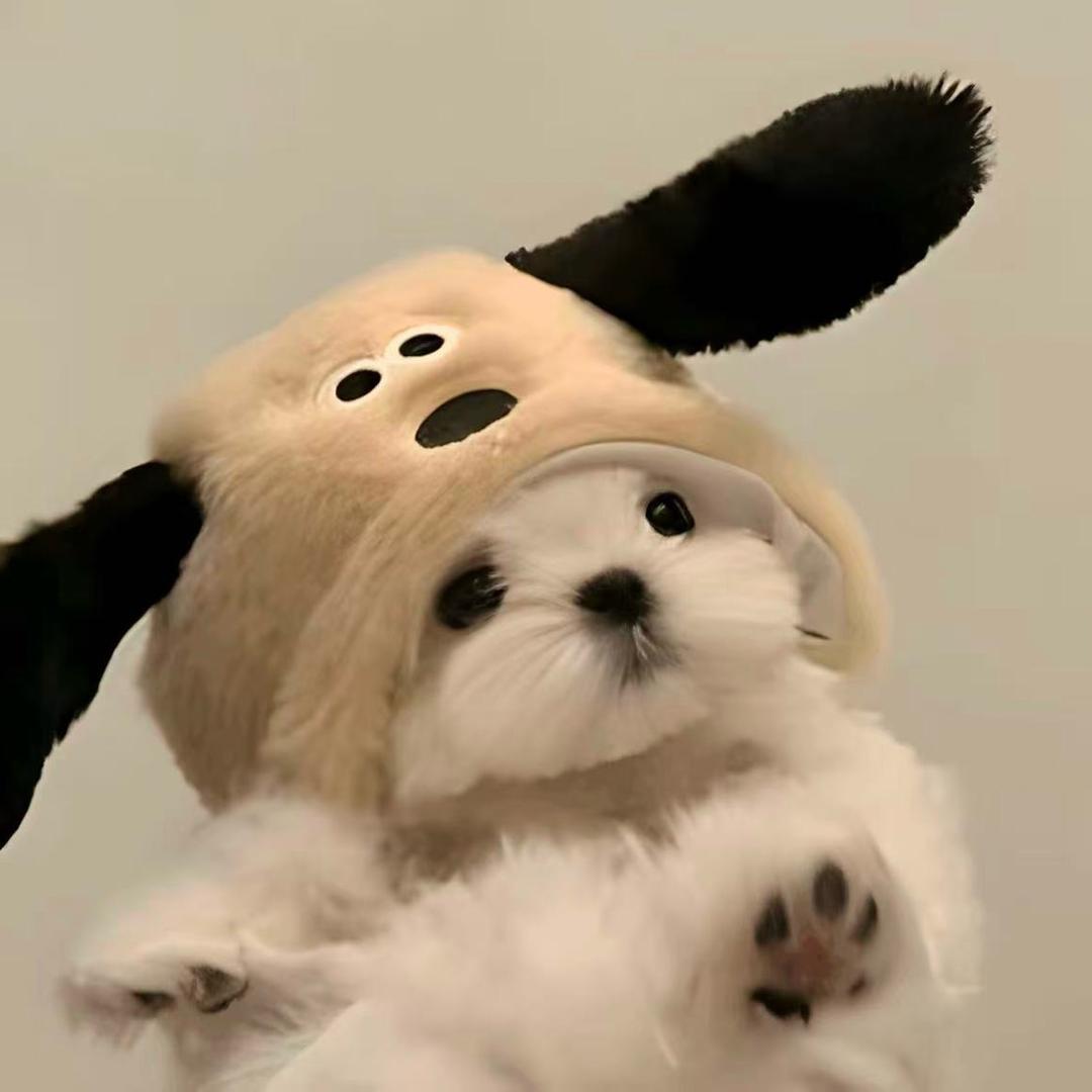 1111111111