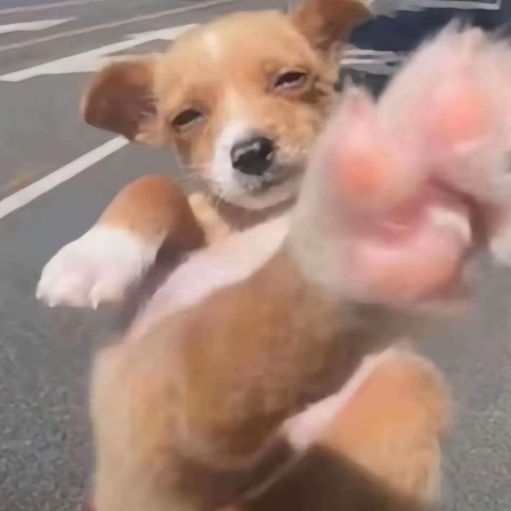 三月还会找我么