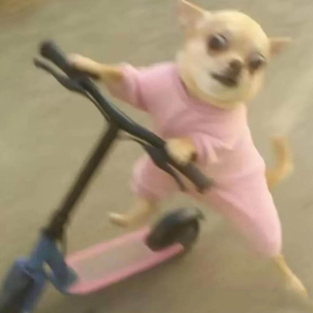 扁桃体永不发言💬