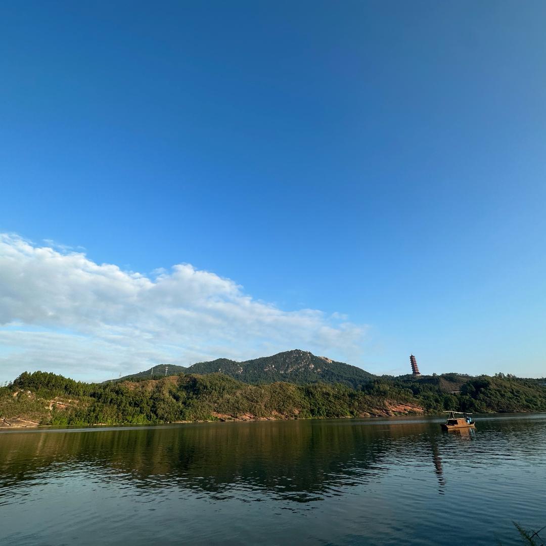 林泽晟