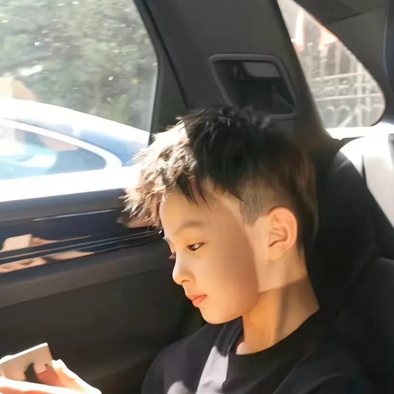 翻斗花园的刷子