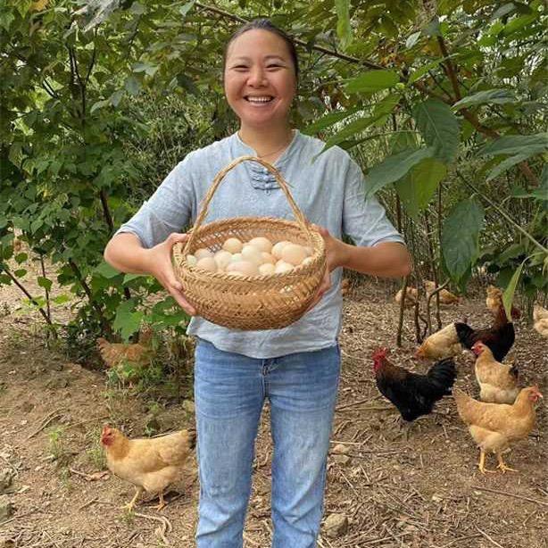 农家土鸡土鸡蛋