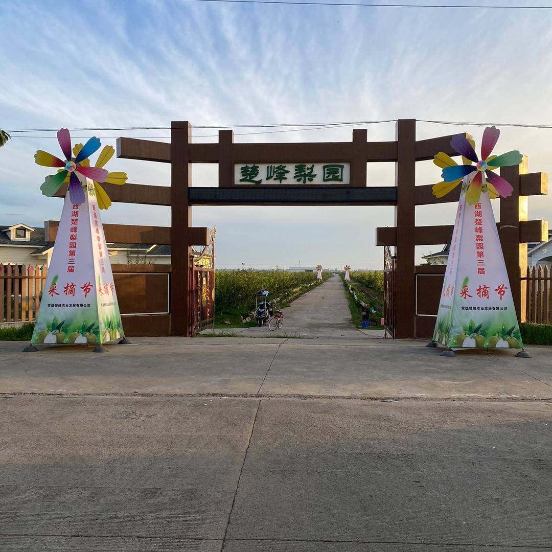 楚峰梨园