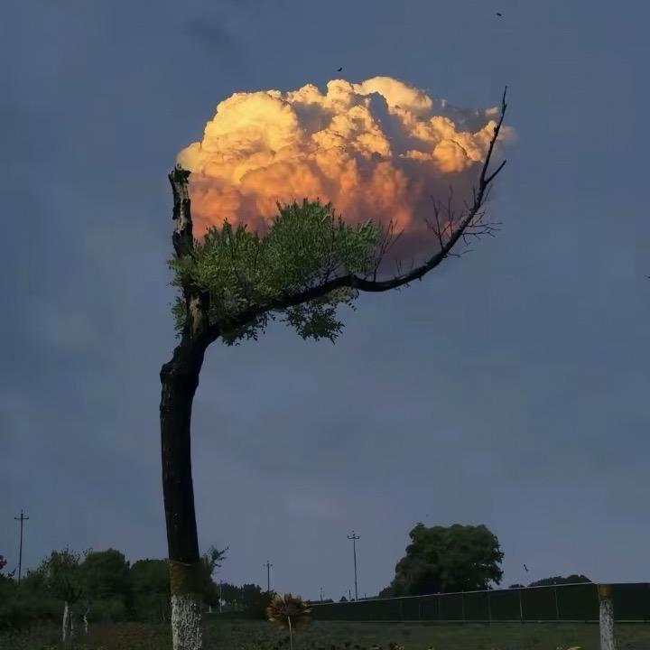 ❤️小小（涨粉版）