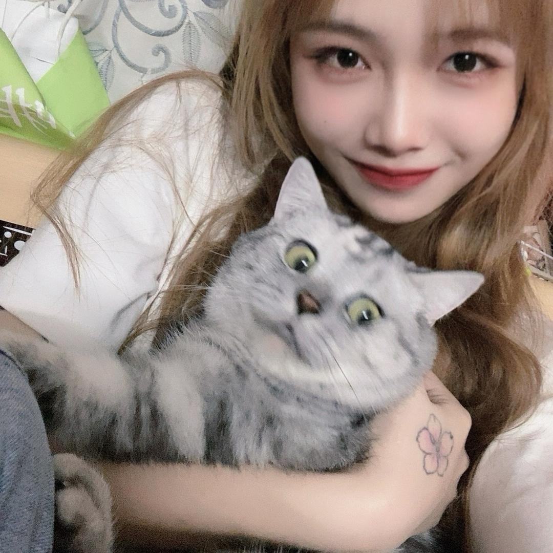 欣欣好饿