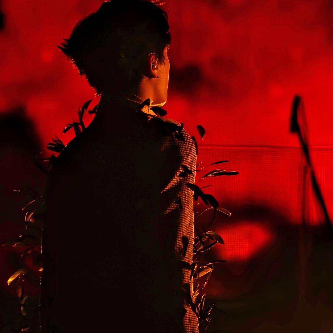 快乐小猪斯嘉丽