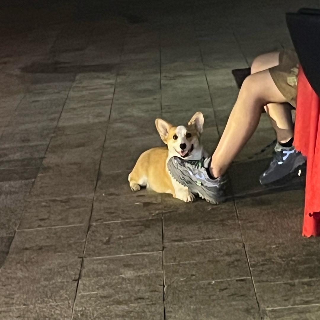曹啊龙