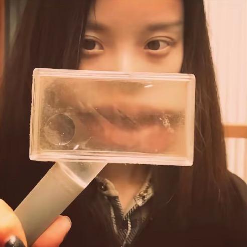 峨眉山的桃