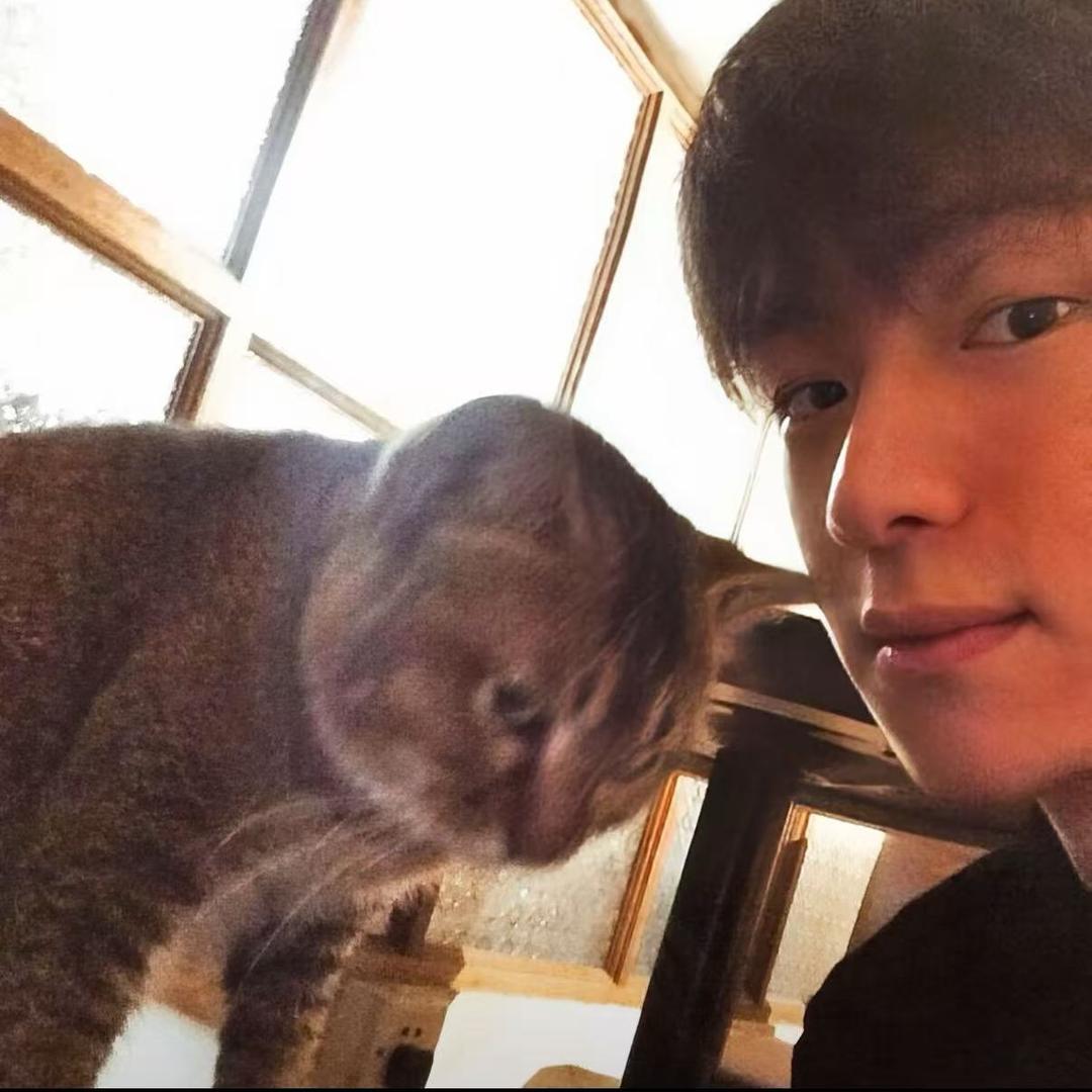 常常因为感觉自己不够抽象而感到自卑