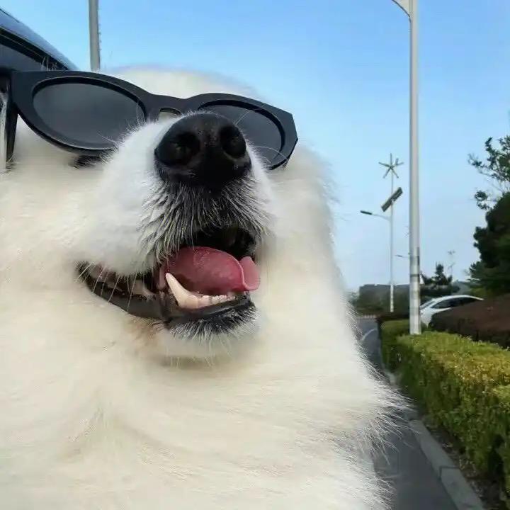 锦绣前程商贸