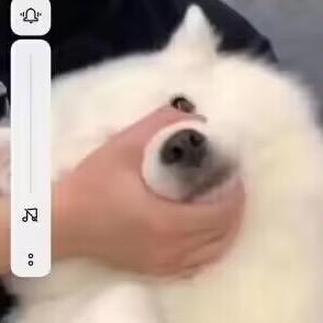 是我啊