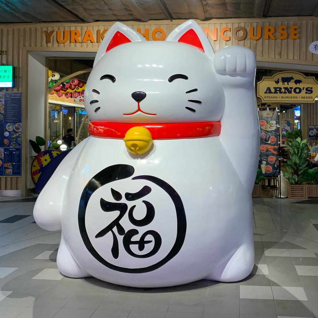 是结实不是胖