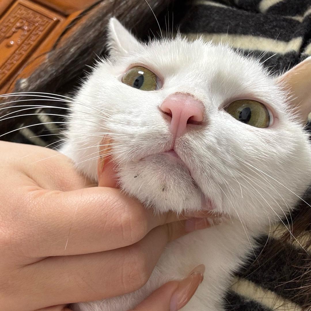 侑子