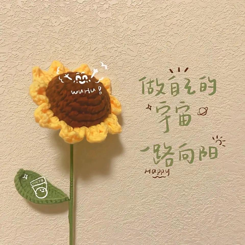 =￣ω￣=桃桃杨乐多