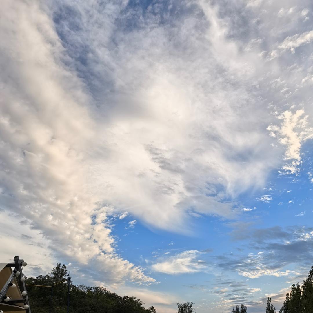 Miss沈 ｛有家茶馆｝