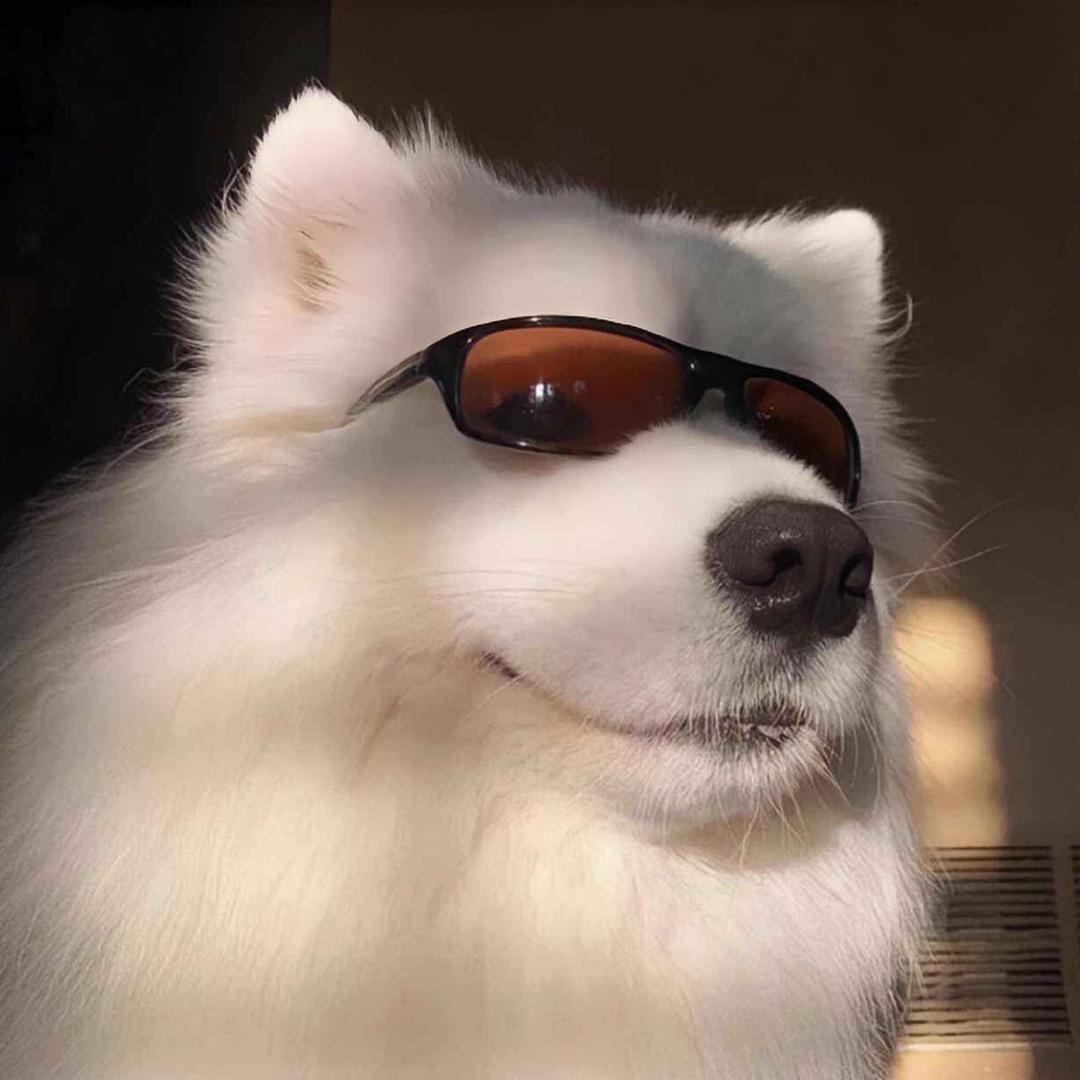 强强好同学