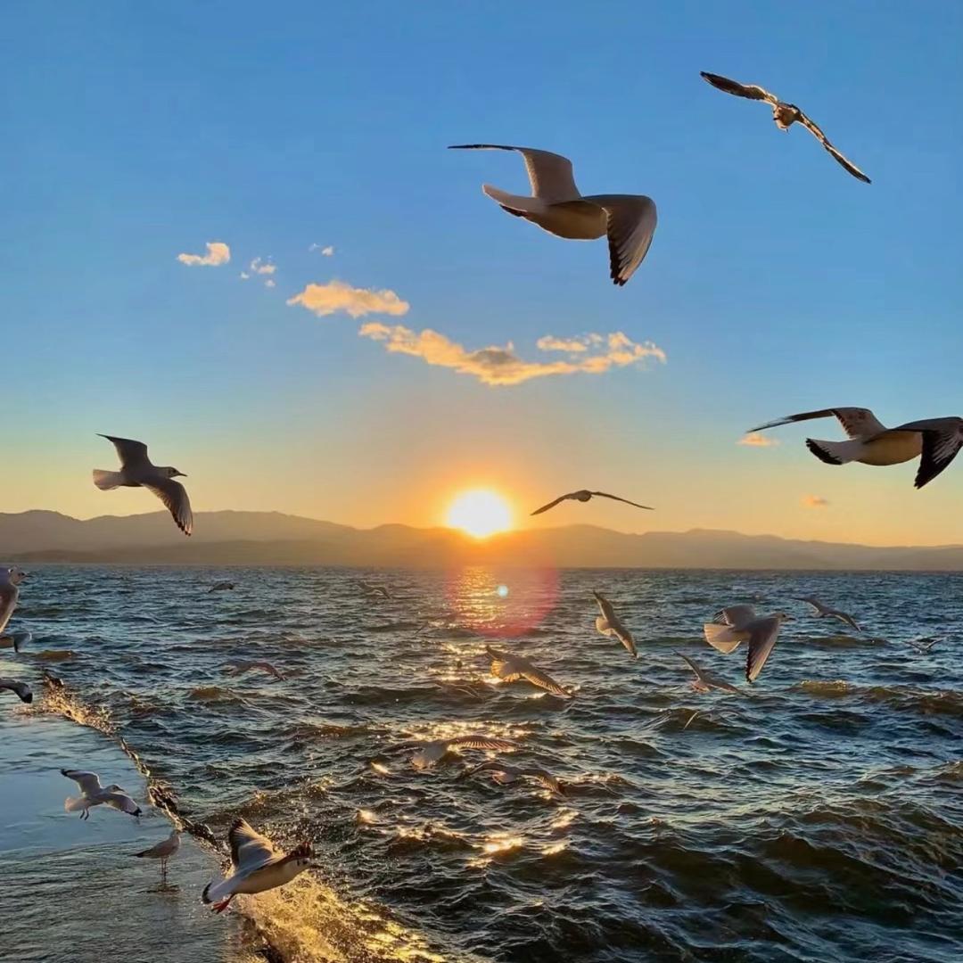 欣欣带你吃喝玩乐