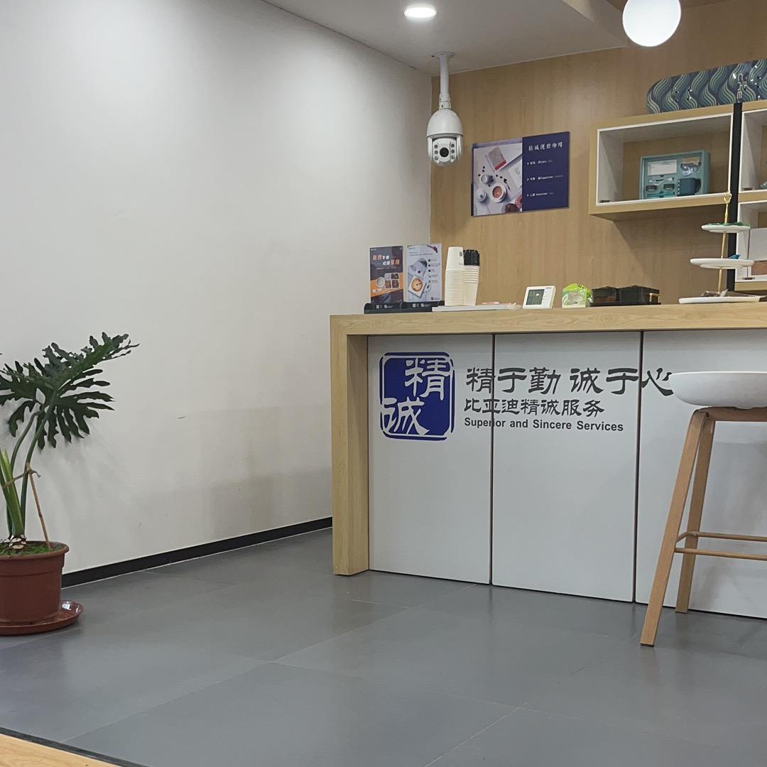 吃炖鹅放鱼丸