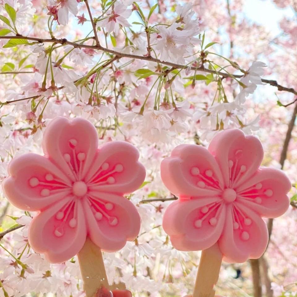 ✨🍃柚子🍃🌸