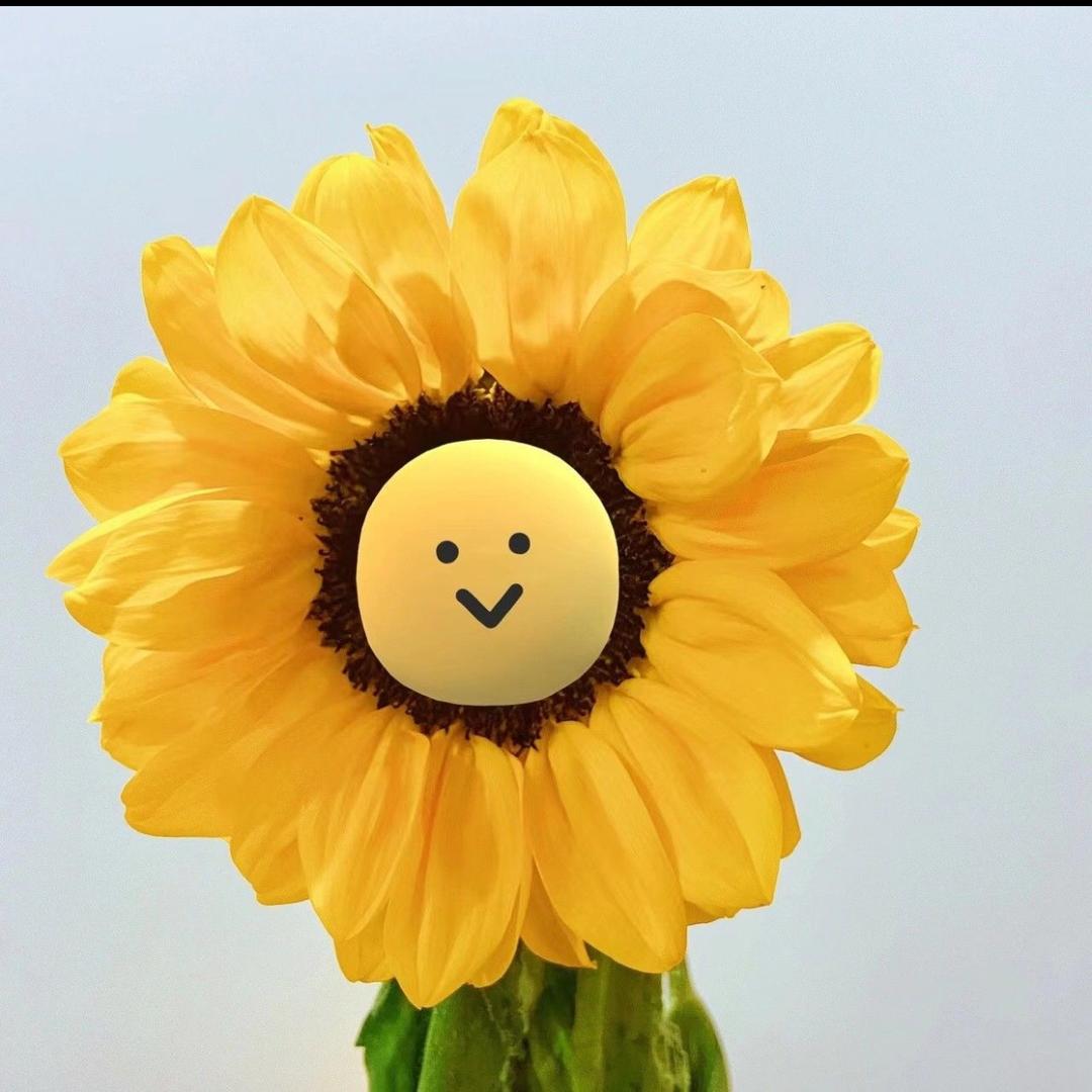 🌈一只小蜜冯🐝