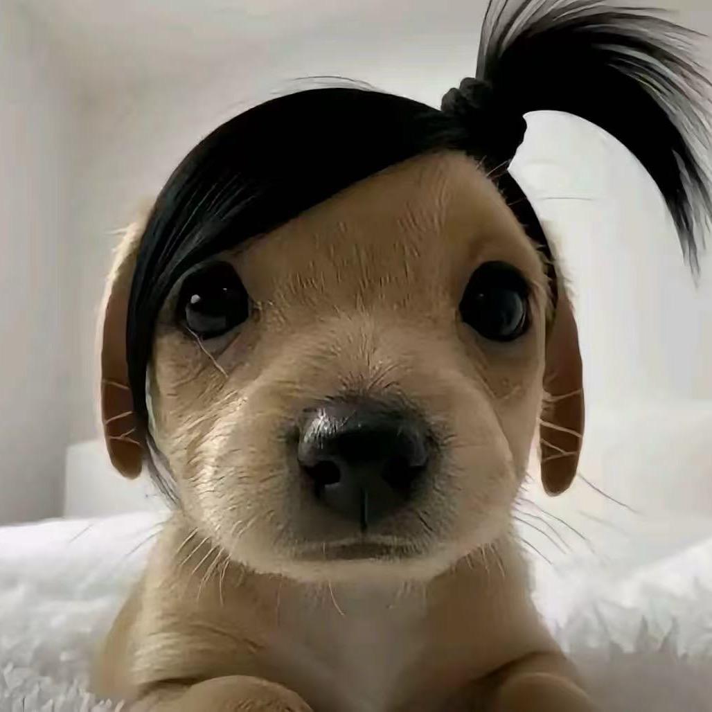 嘻 嘻