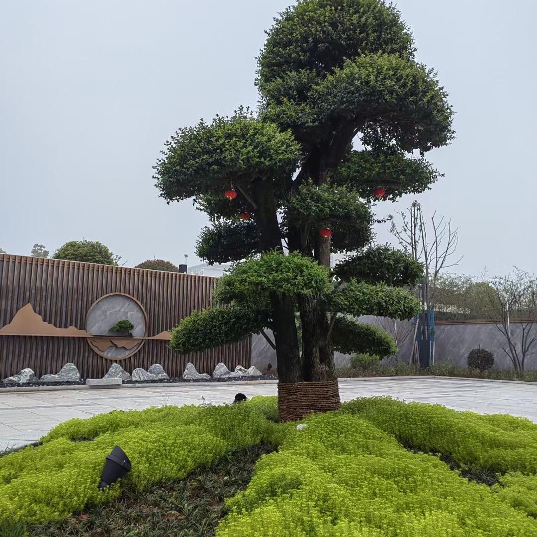 家具维修改色