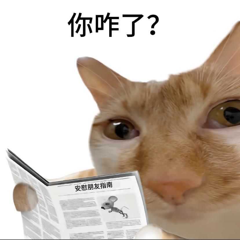 章鱼小丸子-