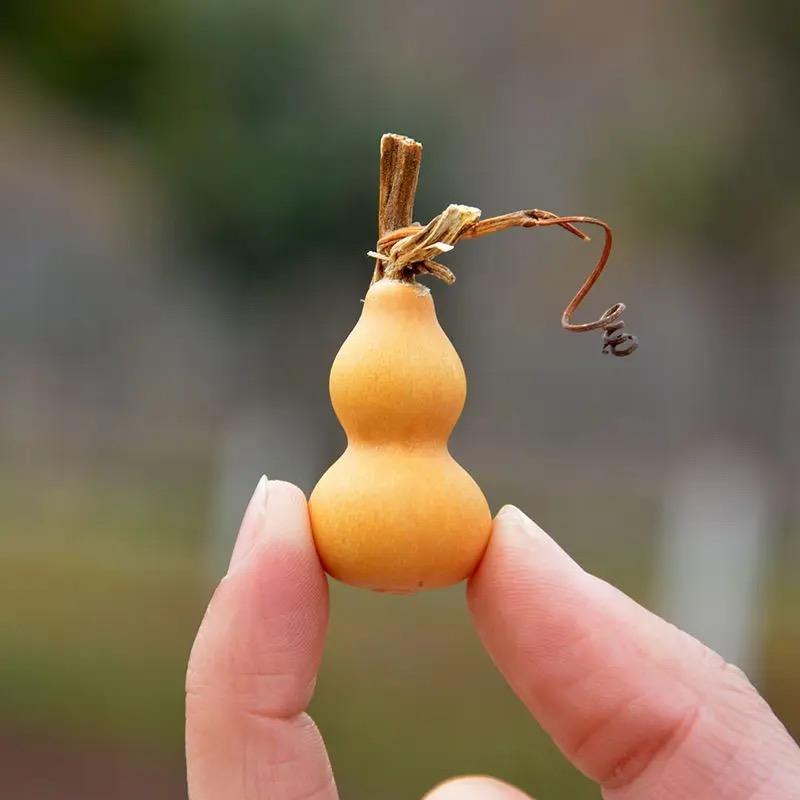 天意葫芦