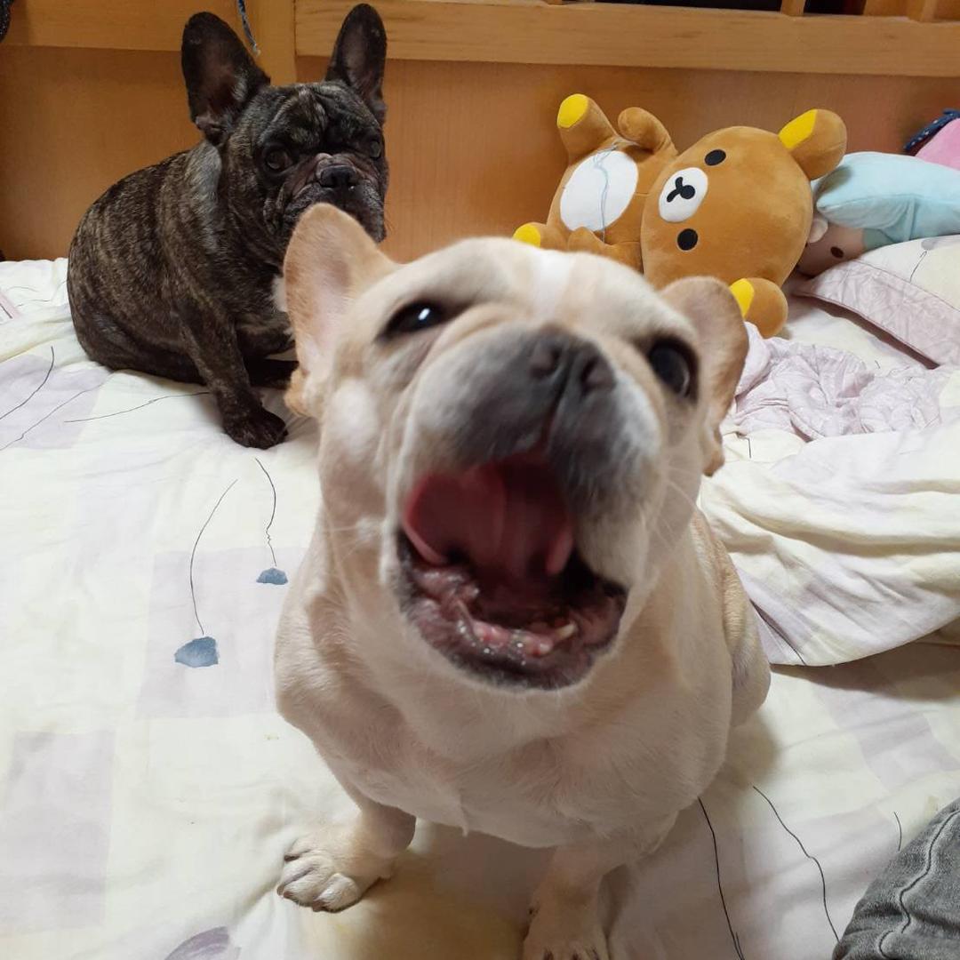 🌈台灣小訓