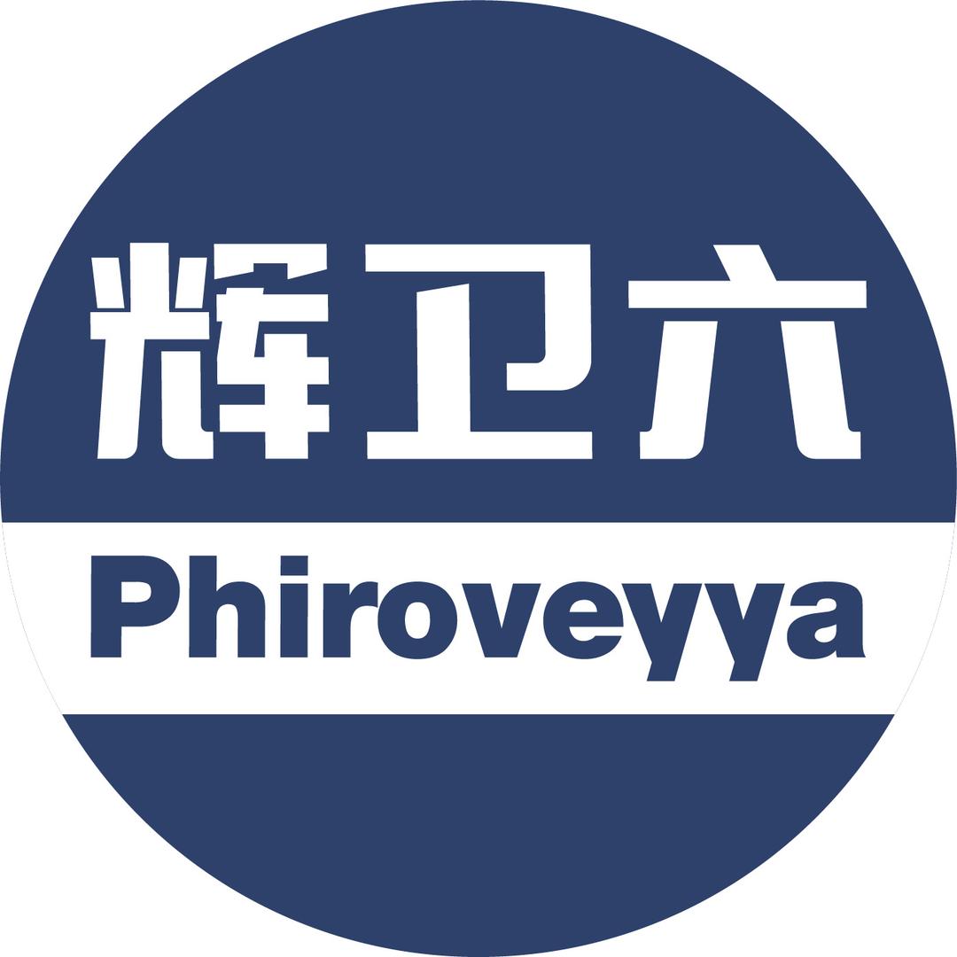辉卫六旗舰店