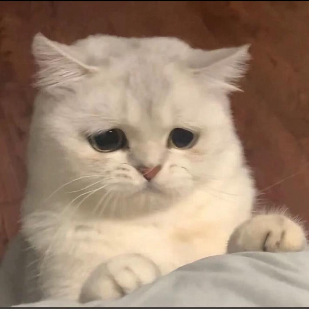 敌人失衡