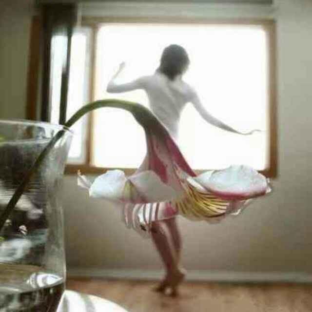 来可的装修日记