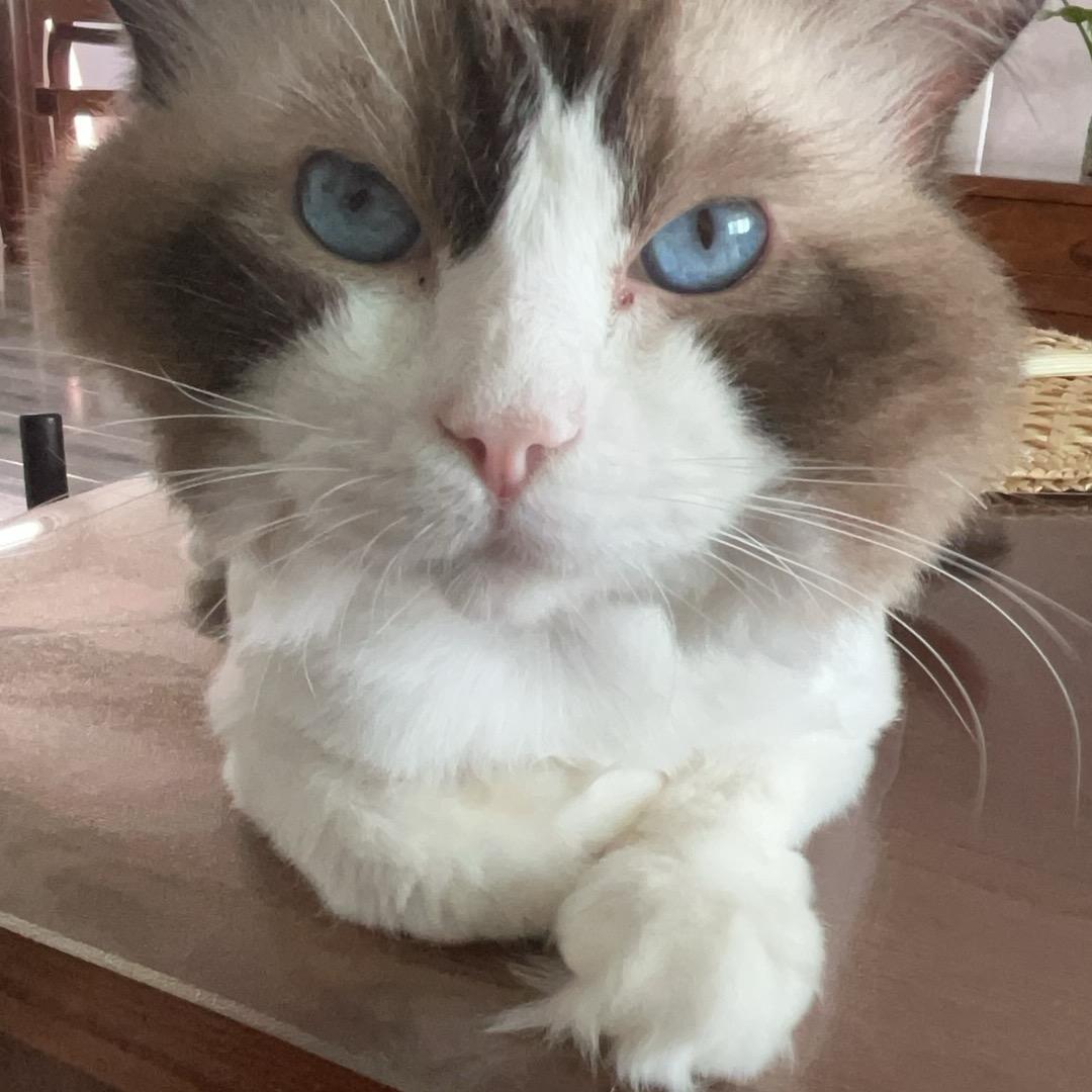 用户3822578183082知足常乐峥