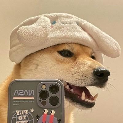 529