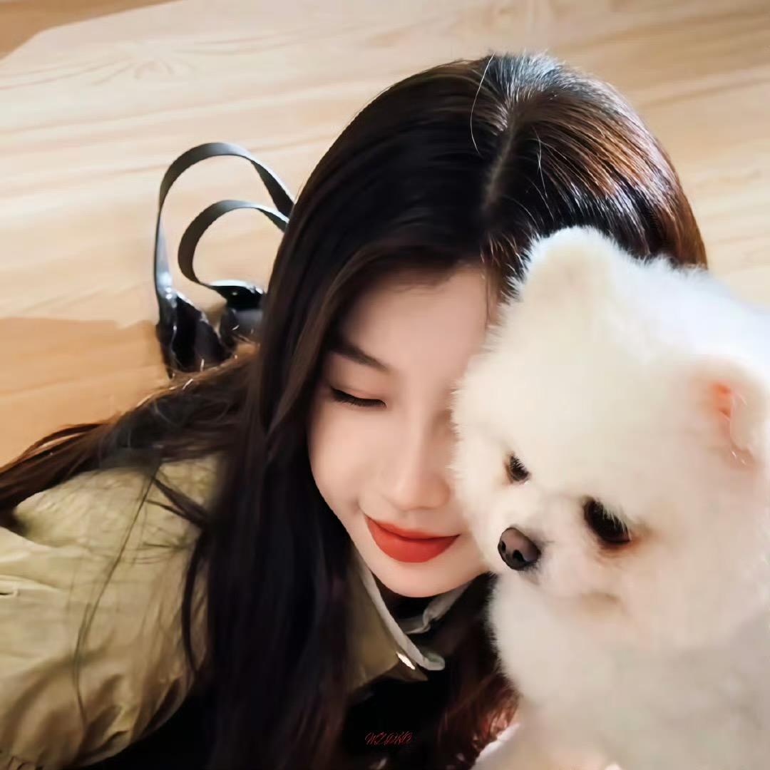 散养小恐龙🦕💤