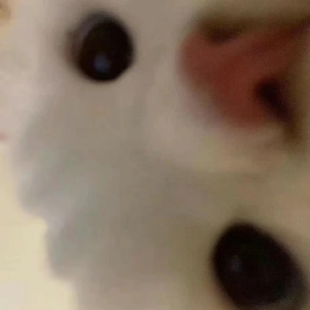 孙富鑫