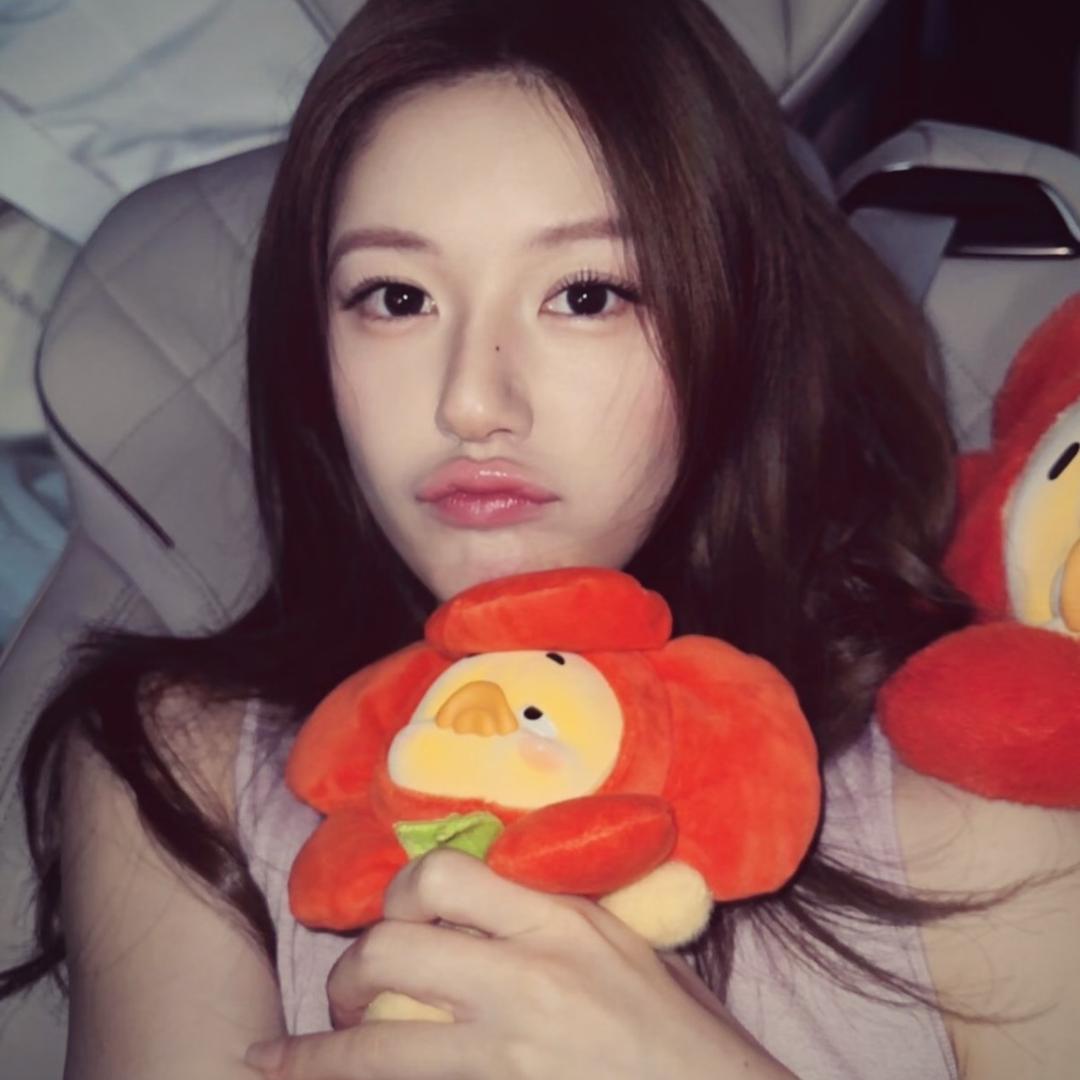 小皇帝一日专享版