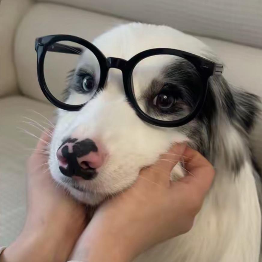 美琦QQQQQ