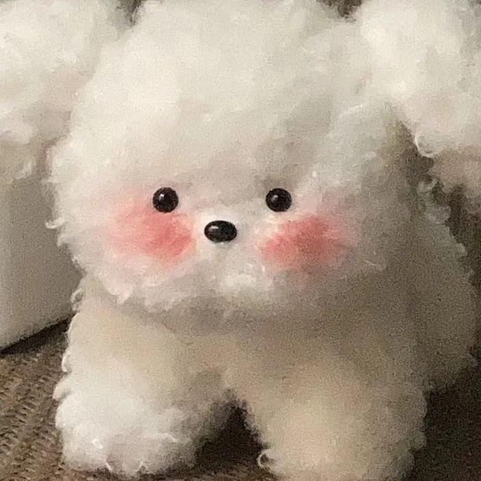 iuy