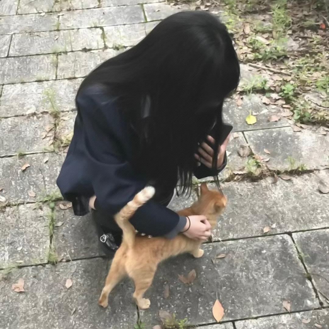 你说公主请舔包